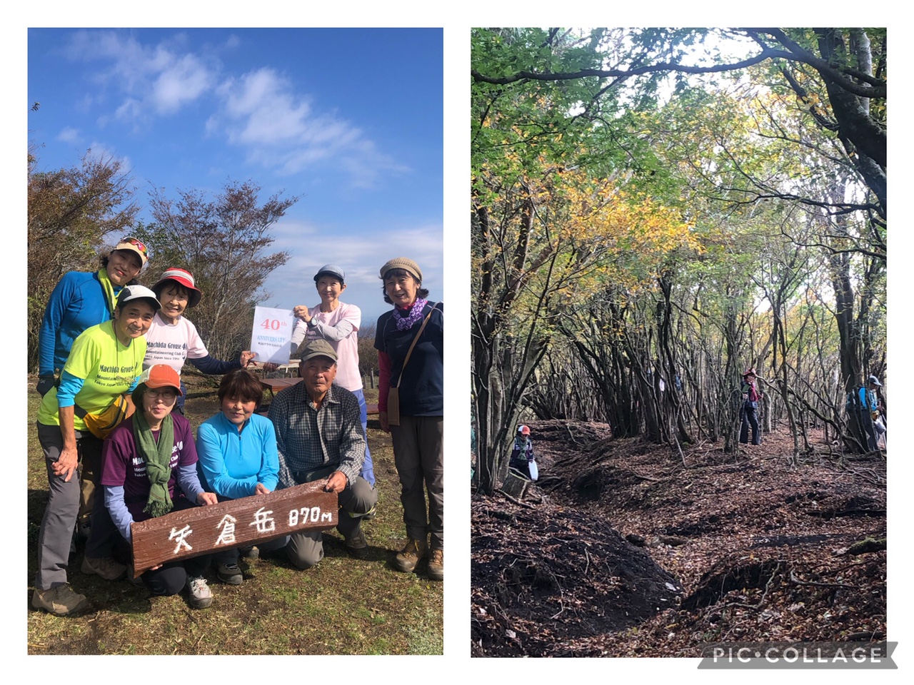 自然観察会（11月）40周年・矢倉岳へ