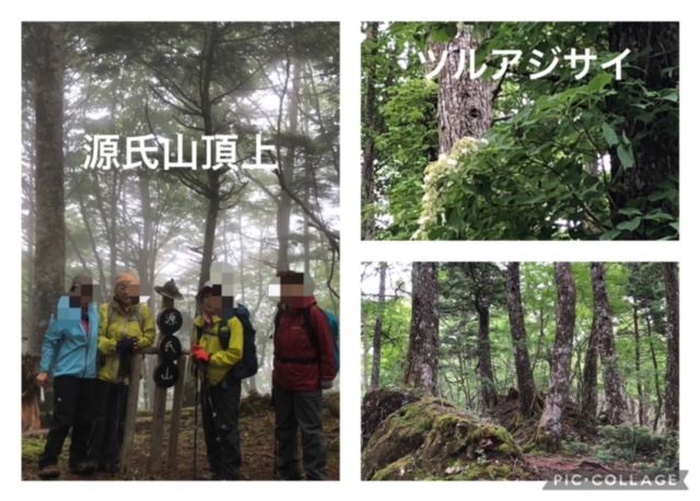 源氏の祖城址消滅半夏雨（はんげあめ）