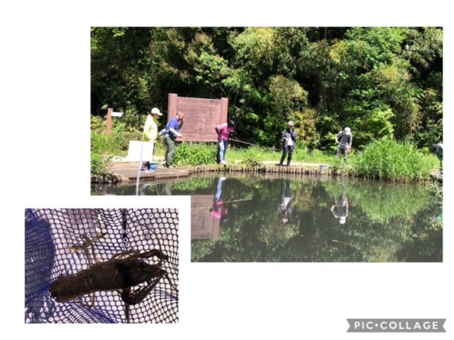 交流ハイク・ザリガニ釣りの練習してみた！