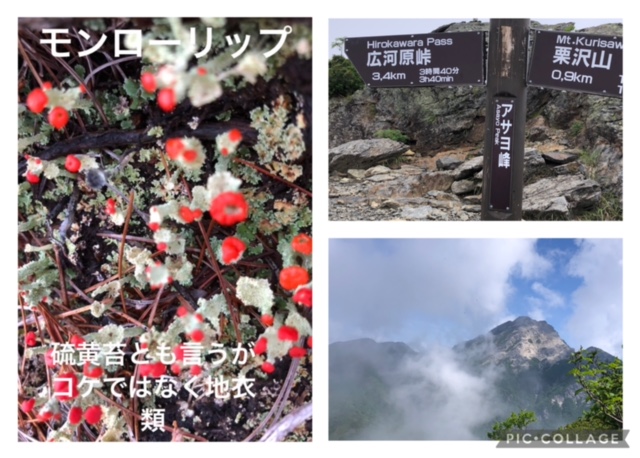 雨上がりの岩稜をアサヨ峰へ
