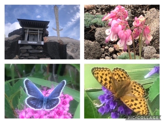 高山植物の宝庫・湯ノ丸高原へ
